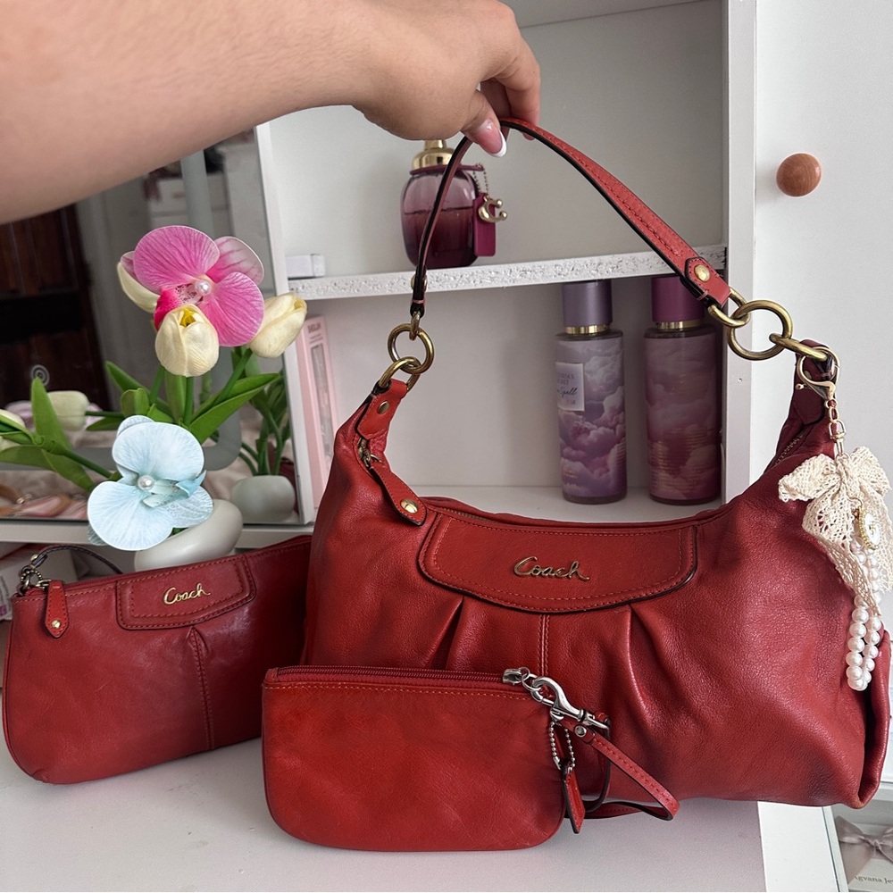 Coach Ashely hobo leather bag set